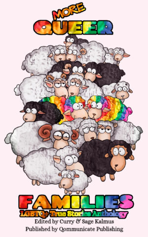 More Queer Families: LGBTQ+ True Stories Anthology